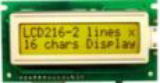 LCD表示器 LCD216